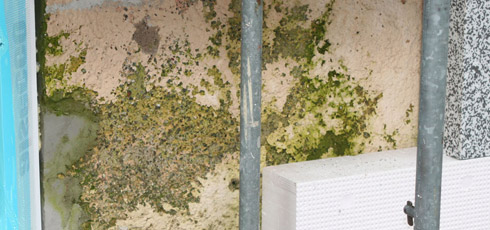 Mood-Bild Schadensbeurteilung