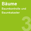 Bäume - Baumkontrolle und Baumkataster