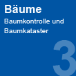 Bäume - Baumkontrolle und Baumkataster